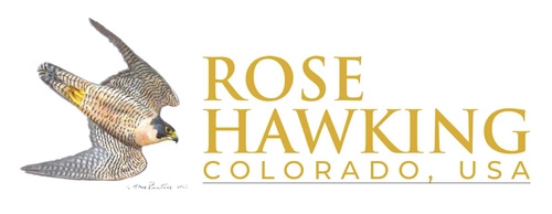 rose hawking